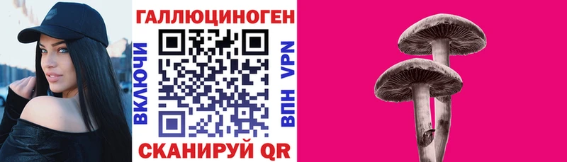 Псилоцибиновые грибы GOLDEN TEACHER  Нолинск 